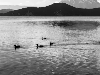 SlotoCash Casino Aip Soghluaiste